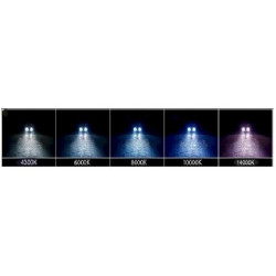 Kit Phare Xenon 55w Ampoule H9, - 12000k / Violet BF- HID H9 55w